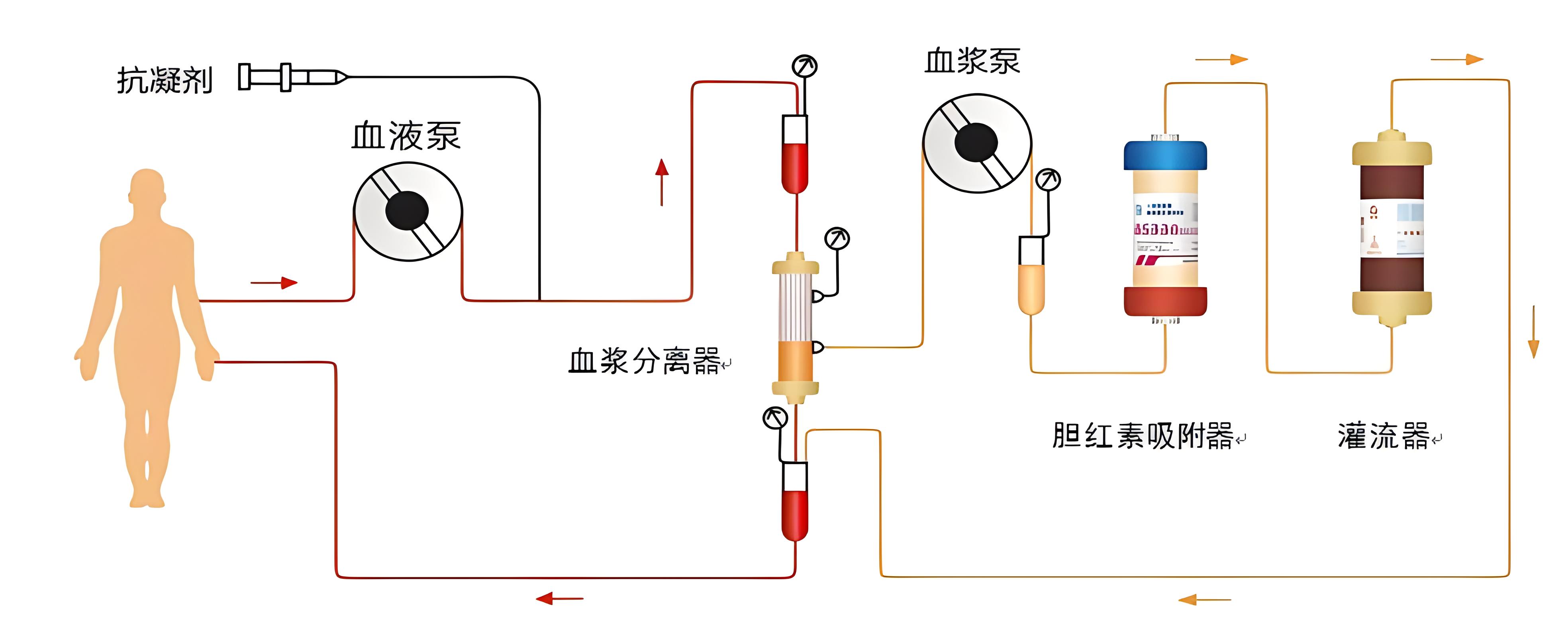 2a0462c2-bd6e-4cfa-93de-167fda301d2f.jpg