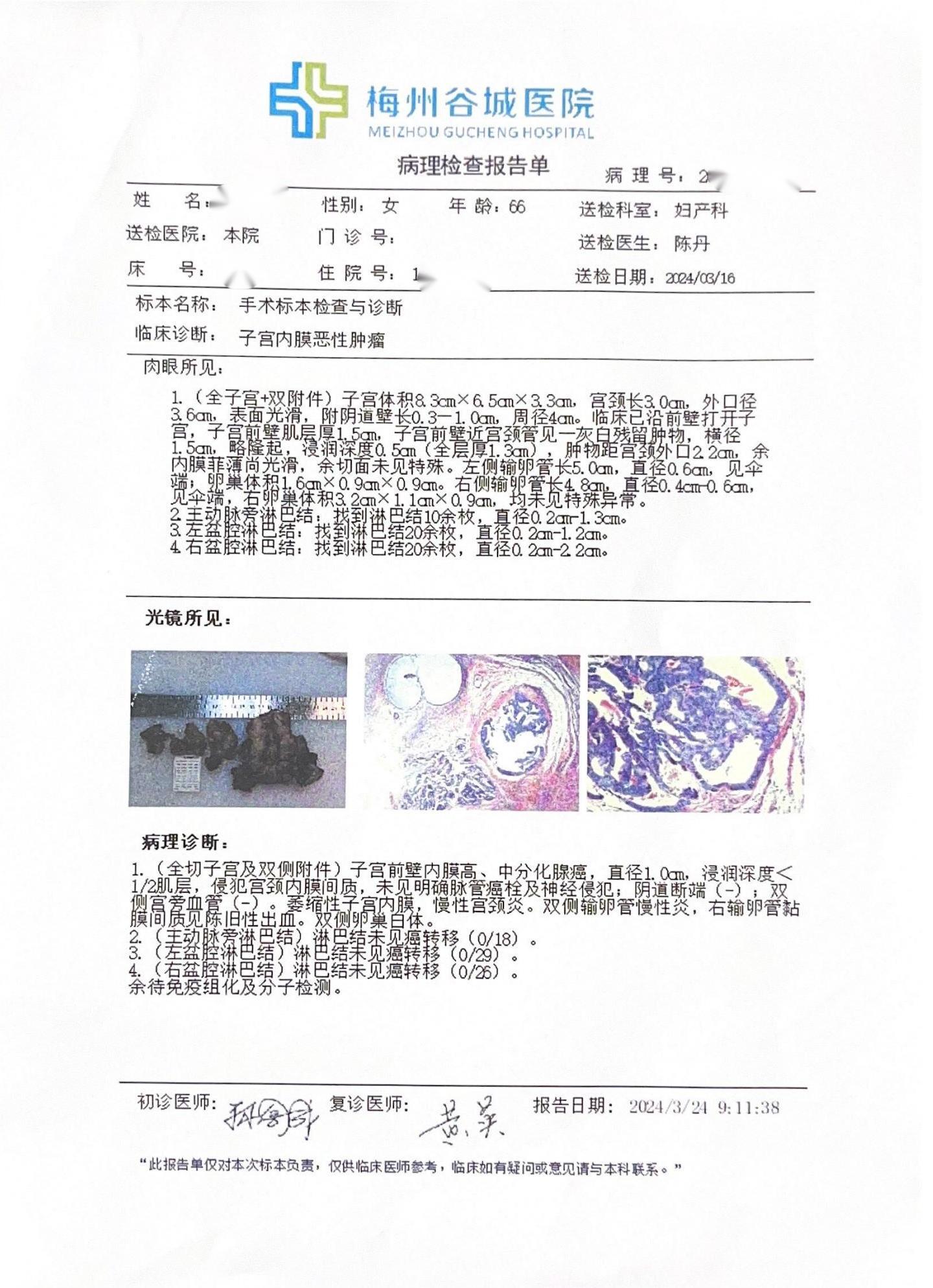 病理检查报告单_02.jpg