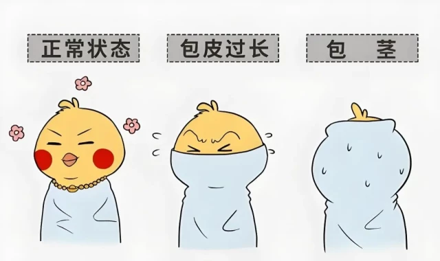 5c3d1a2e-67d9-4588-a98b-5b4b6bd73798.jpg